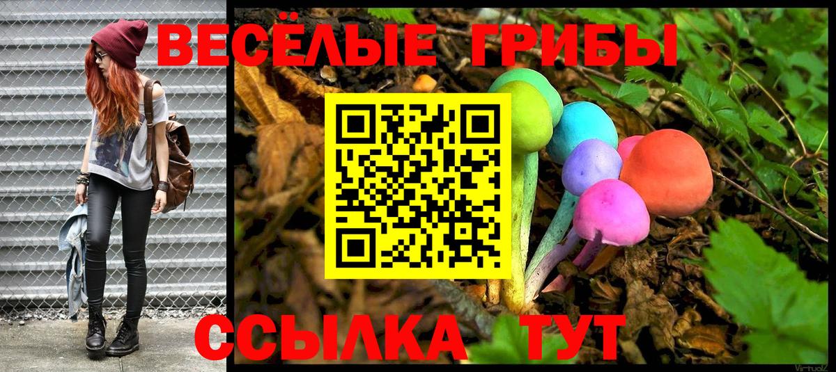 Псилоцибиновые грибы мицелий Братск