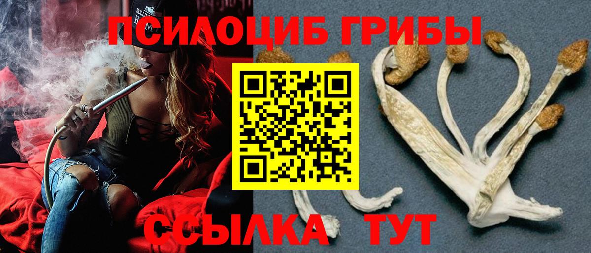 Братск  Псилоцибиновые грибы MAGIC MUSHROOMS  Вход с VPN 